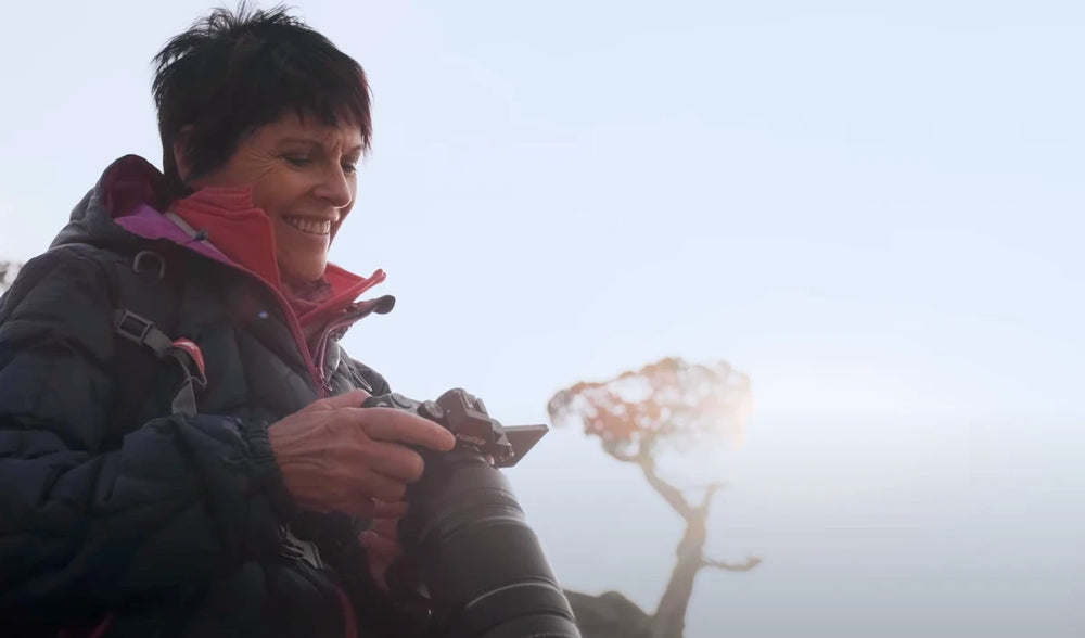 Essentials for the Creative Professionals