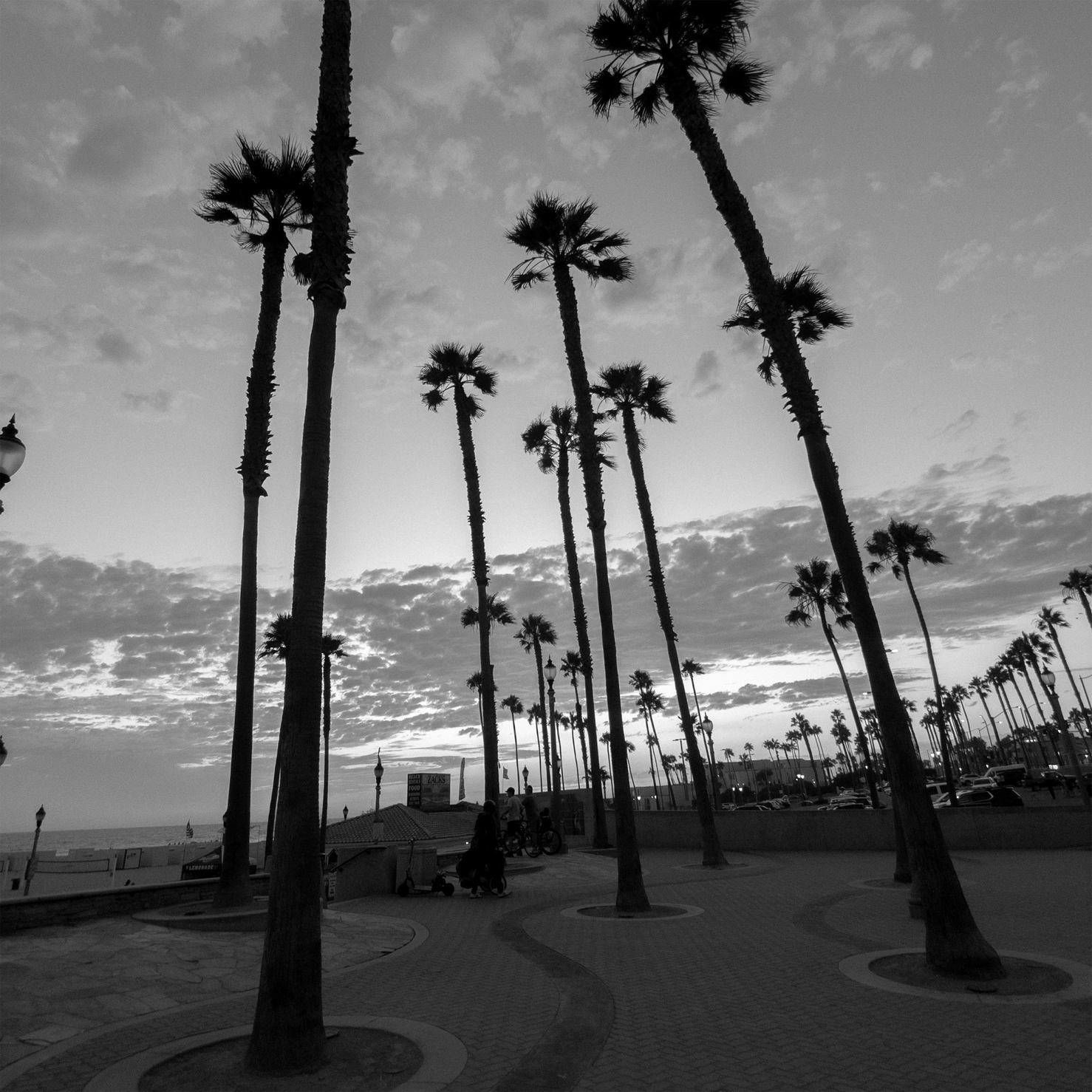 Moment Wide 18mm Mobile Lens - T-Series