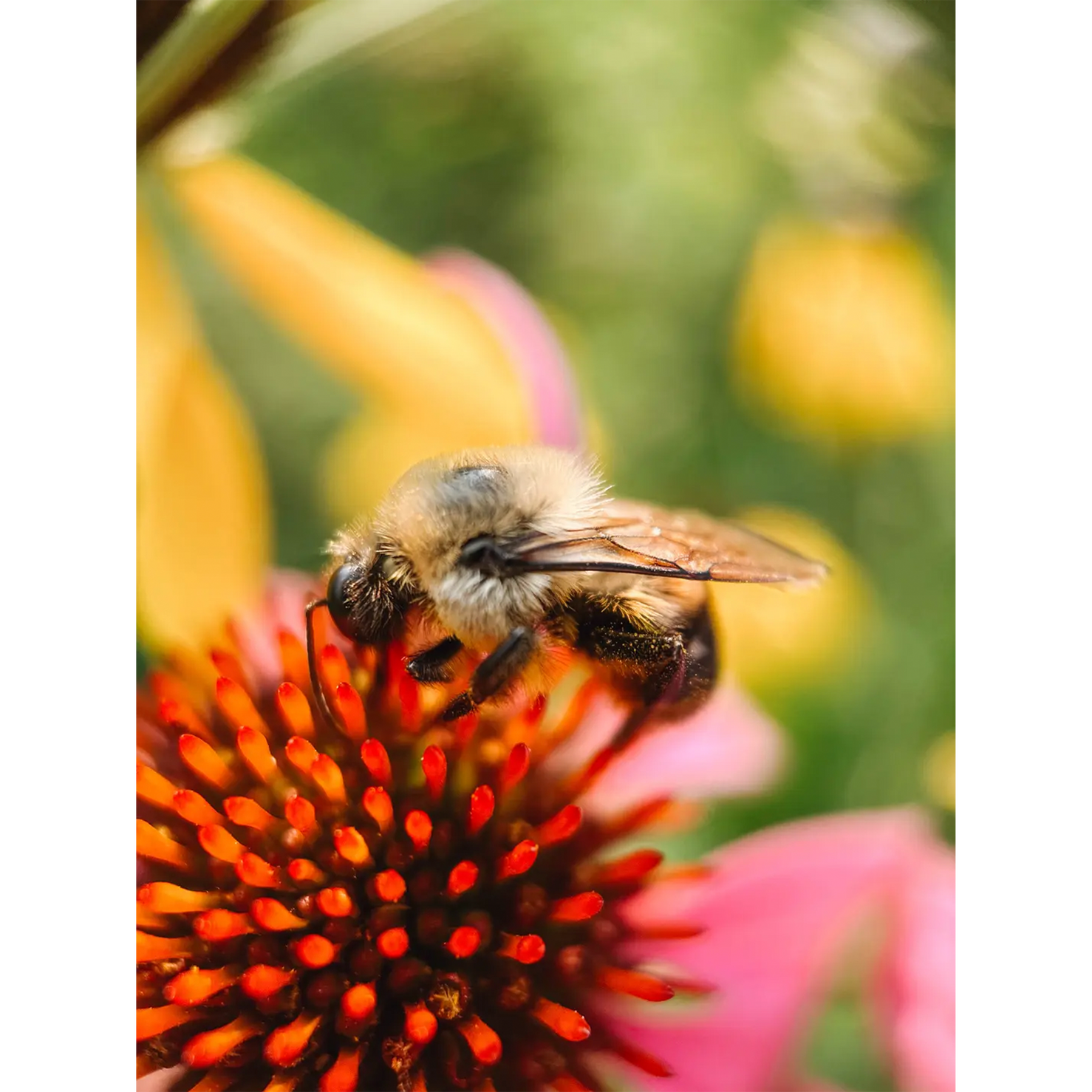 Shot by @carliepenning