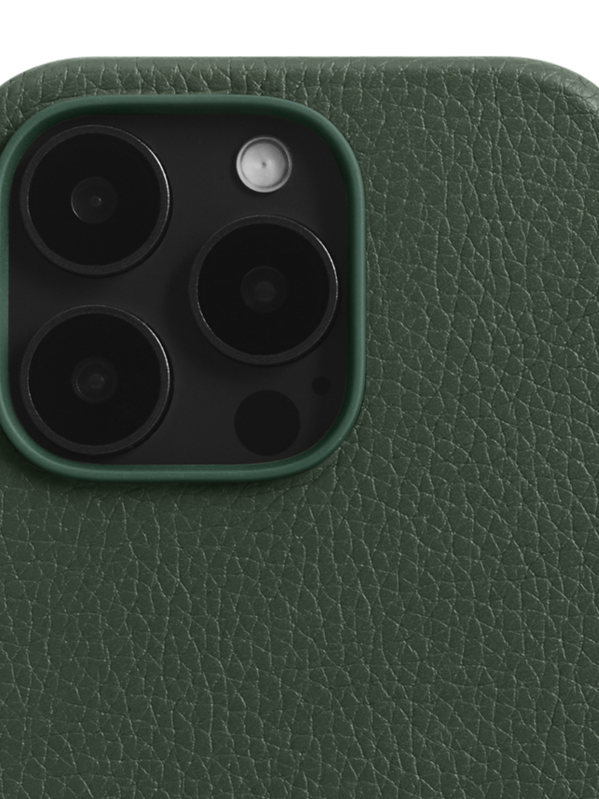 Woolnut Leather Case for iPhone 16 Pro - Green